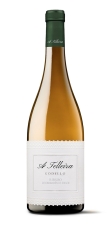UUS! A Telleira Godello Ribeiro Galicia 2023 13% 75cl