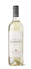 UUS! Casa del Valle Acantus Sauvignon Blanc 2021 12% 75cl