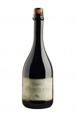 Puianello Borgoleto Reggiano Doc Lambrusco 9,5% 75cl